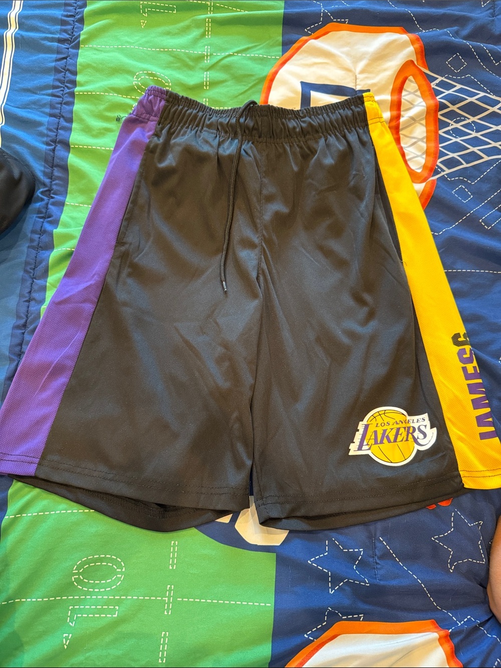 Men’s Black, Purple & Gold Basketball Shorts - NBA Lakers